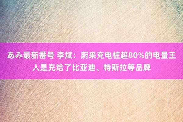 あみ最新番号 李斌：蔚来充电桩超80%的电量王人是充给了比亚迪、特斯拉等品牌