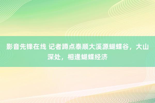 影音先锋在线 记者蹲点泰顺大溪源蝴蝶谷，大山深处，相逢蝴蝶经济