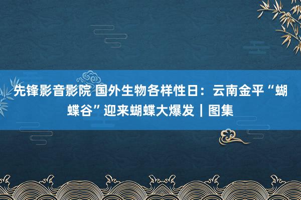 先锋影音影院 国外生物各样性日：云南金平“蝴蝶谷”迎来蝴蝶大爆发｜图集