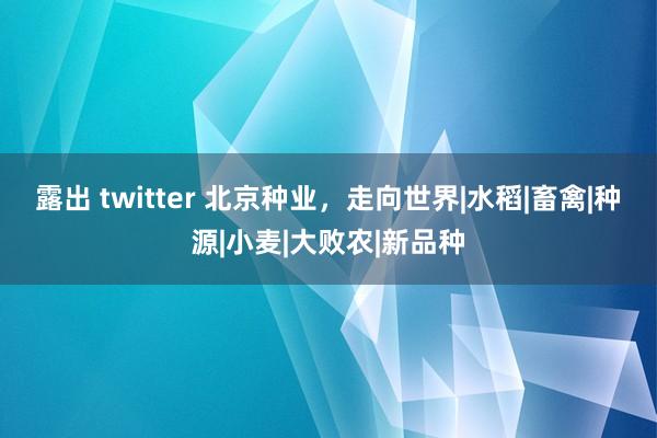 露出 twitter 北京种业，走向世界|水稻|畜禽|种源|小麦|大败农|新品种